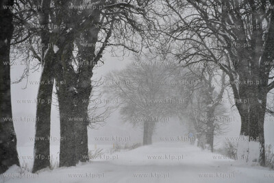 Zima na Żuławach. 16.01.2021 fot. Paweł Marcinko...