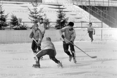 Turniej hokejowy na odkrytym lodowisko Olivii w Gdańsku...
