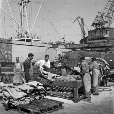 W porcie gdańskim. (lata60).19680008068zFot. Zbigniew...