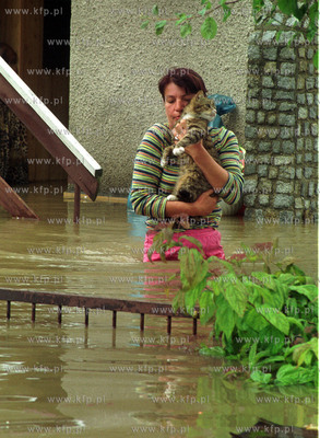 Mieszkancy ratuja swoj dobytek i zwierzeta na gdanskim...