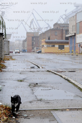 Koci problem w Stoczni Gdynia. Po zamknieciu produkcji...