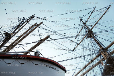 Tysiace ptakow przeslonilo w sobote wieczorem niebo...