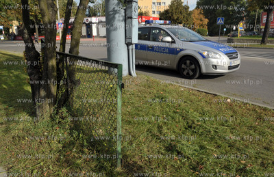 Gdansk Zabianka ul. Gospody. Wrosniety w drzewo fragment...