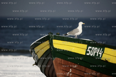 Sopot. Przystan rybacka. 05.02.2010 fot. Krzysztof...