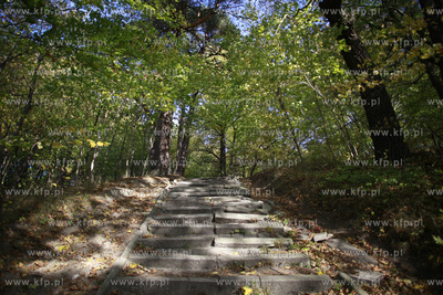 Akcja sprzątania Lasów Oliwskich w rejonie wzgórza...