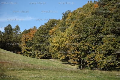 Sopot. Lysa Gora.
18.10.2012
fot. Krzysztof Mystkowski...