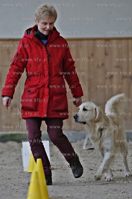 Sopot. Hipodrom. Psie zawody o Puchar Planet Pet Society...