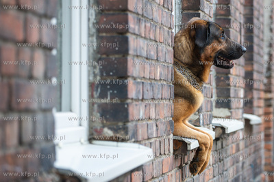Rewitalizaja Biskupiej Górki. 13.07.2023 / fot. Anna...