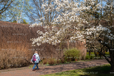 Wiosna w Parku Oliwskim. 15.04.2025 / fot. Anna Rezulak...