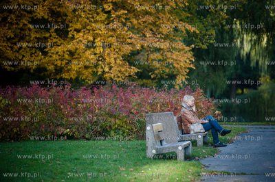 Gdansk. Sloneczne jesienne popoludnie w Parku Orunskim.
17.10.2012
fot....