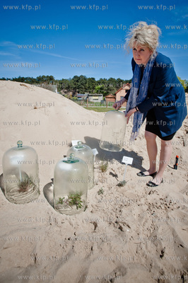 Gdansk. Wyspa Sobieszewoska. Teren Stacji Badawczej...