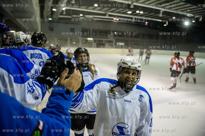 Gdańsk. Oliwa. Mała tafla Hali Olivia. Mecz inaugurujacy...