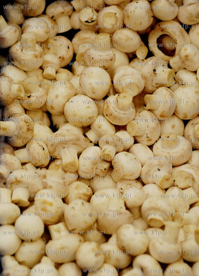 Hipermarket Port Rumia - Centrum Handlowe AUCHAN przy...