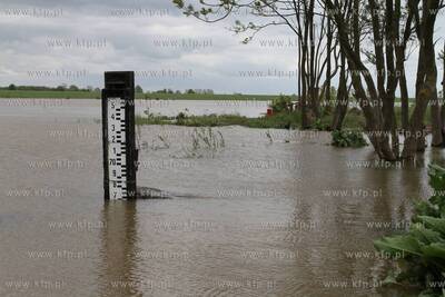 Podniesiony stan Wisly w okolicach jej ujscia do morza...