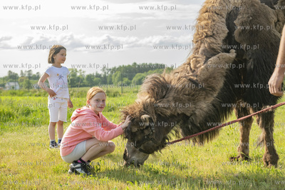 Dobrzewino, wieś na Kaszubach w powiecie wejherowskim....