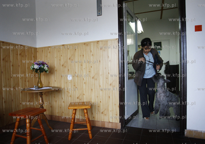 Gdansk Zaspa. Zaklad strzyzenia psow. Nz strzyzenie...