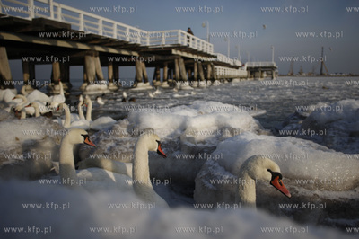 Sopot. Molo .
28.12.2010
fot.Krzysztof Mystkowski...
