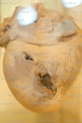 Uniwersytet Gdanski. Wydzial Prawa i Administracji....