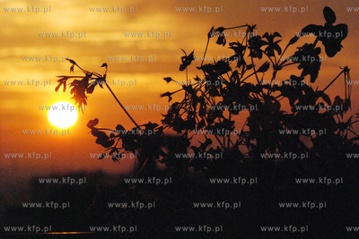 Wschod slanca w Rumi10.10.2006Fot. Andrzej J. Gojke/KFP