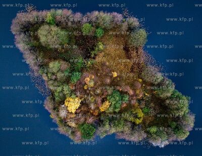 XIII Pomorski Konkurs Fotografii Prasowej Gdansk Press...