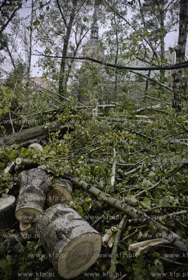 Przewalone ploty i wyrwane z korzeniami drzewa to skutek...