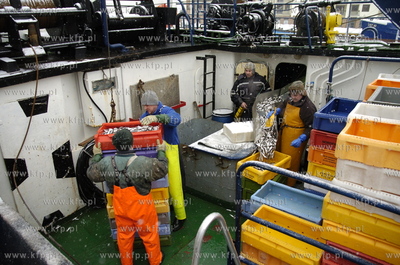 Ustka
Rybacy z kutra UST-203 w czasie jednego z ostatnich...