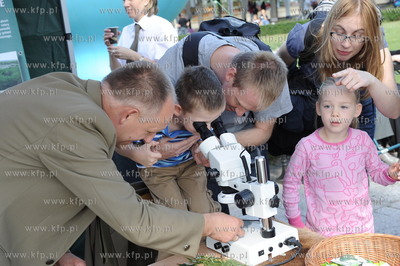 Plac Kuracyjny przy molo w Sopocie. Lesny Festyn Edukacyjny...