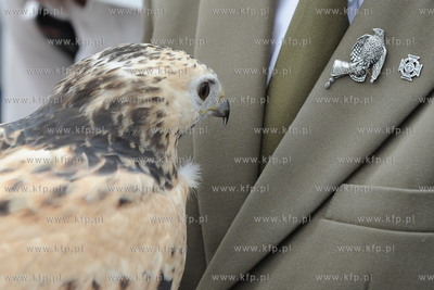 Plac Kuracyjny przy molo w Sopocie. Lesny Festyn Edukacyjny...