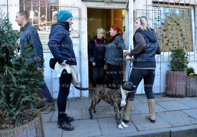 Gdynia. Ogolnopolskie Towarzystwo Ochrony Zwierzat...