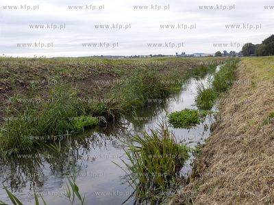 Rzeka Klodawa w okolicach Legowa i Grabiny Zameczku.
01.10.2014...