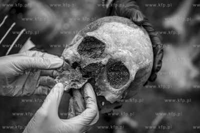 XXX Pomorski Konkurs Fotografii Prasowej im. Zbigniewa...