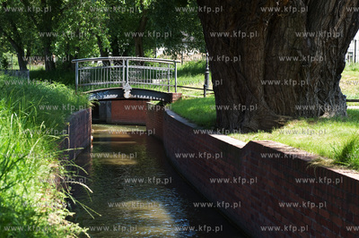 Gdansk Wrzeszcz, Park nad Strzyza.
03.07.2009
fot....