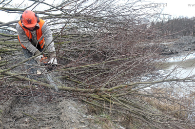 Wycinka drzew pod budowe nowej Trasy Slowackiego na...