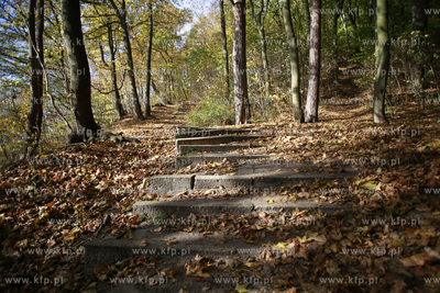 Akcja sprzątania Lasów Oliwskich w rejonie wzgórza...