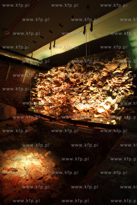 Uroczyste otwarcie Piwnicy Romanskiej z XIIIw., ktora...