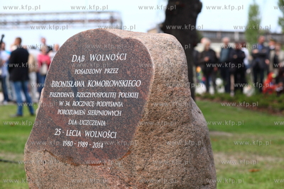 Sadzenie Debu Wolnosci w okolicy sali BHP Stoczni Gdanskiej...