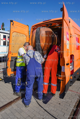 AmberExpo. Piknik rodzinny z okazji 150-lecia gdańskich...
