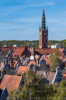 Widok na Gdańsk i ul. Szeroką z Żurawia. Nz.Ratusz...