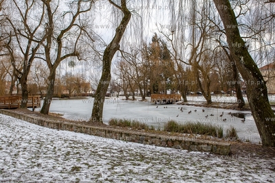 Zima w Parku Oruńskim.  04.02.2019 / Fot. Anna Rezulak...