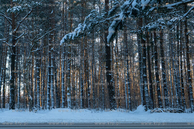 Gmina Szemud. Zimowy krajobraz w okolicach jeziora...