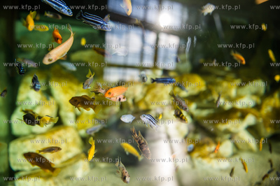 Uniwersytet Gdanski. Wydzial Biologii. Jedyne w Polsce...