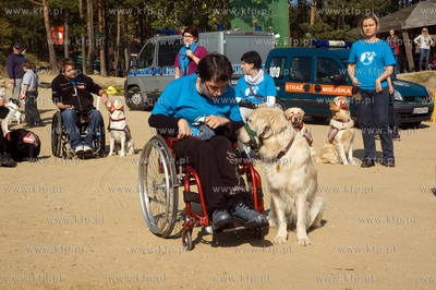 Gdynia - 	Kolibki Adventure Park. Festyn edukacyjny...