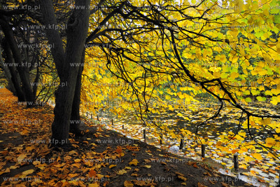 Gdansk Oliwa Park. Fragment parku z basenem parkowym.Poczatkiem...