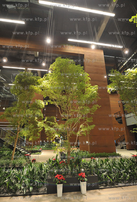 Europejskie Centrum Solidarnosci. Gdansk. Swiateczny...
