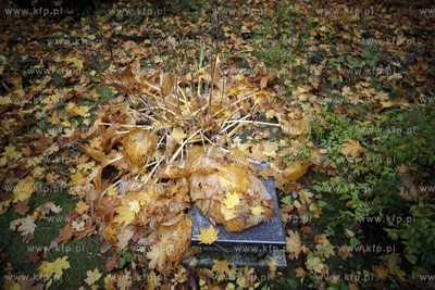 Sopot. Cmentarz Zolnierzy Radzieckich.
24.10.2012
fot....