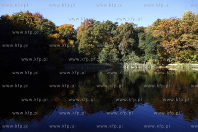 Sopot. Staw Morskie Oko.
14.10.2013
fot. Krzysztof...