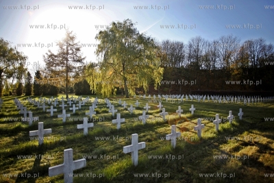 Wojskowy cmentarz francuski w Gdansku.
31.10.2013
fot....
