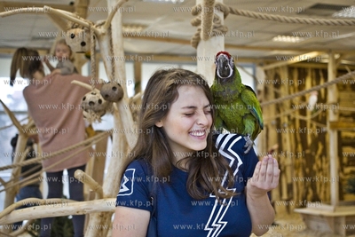 Nowa Papugarnia w Gdańsku Suchaninie.
29.12.2016
fot....