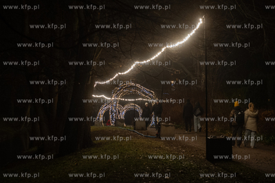 Iluminacje świąteczne w Parku Oliwskim. 05.12.2024...