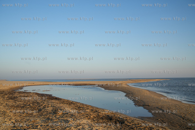 W Mikoszewie, przy ujściu Wisły, pojawił się nowy...